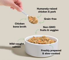 Puppy Grain-Free Freshly Crafted Dog Food