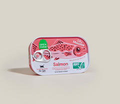 Salmon Topper for Cats