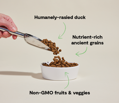 Farmstead Duck Ancient Grains Dog Kibble