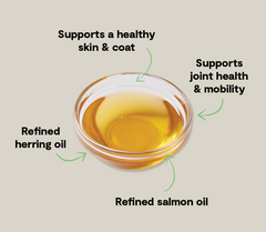 Icelandic Herring & Salmon Oil For Cats