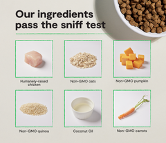 Harvest Chicken & Ancient Grains Dog Kibble