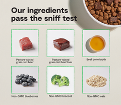 Epic Blend Beef & Superfood Dry Dog Food