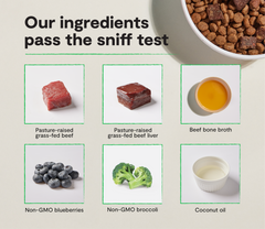 Epic Blend Beef & Superfood Grain-Free Dog Kibble