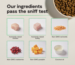 Chicken & Turkey Grain-Free Kitten Kibble