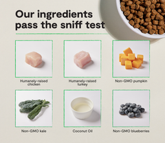 Small Breed Grain-Free Dog Kibble