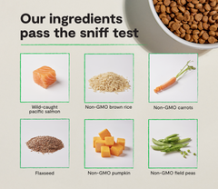 Goodbowl™ Wild-Caught Salmon & Brown Rice Dog Kibble
