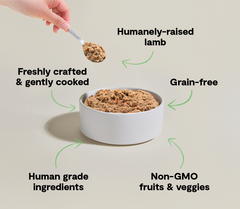 Pasture-Raised Lamb Freshly Crafted Dog Food