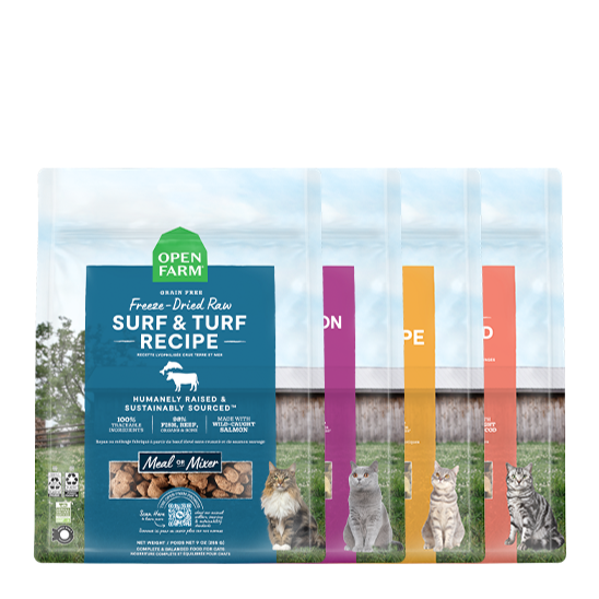 Freeze Dried Raw Variety Pack for Cats