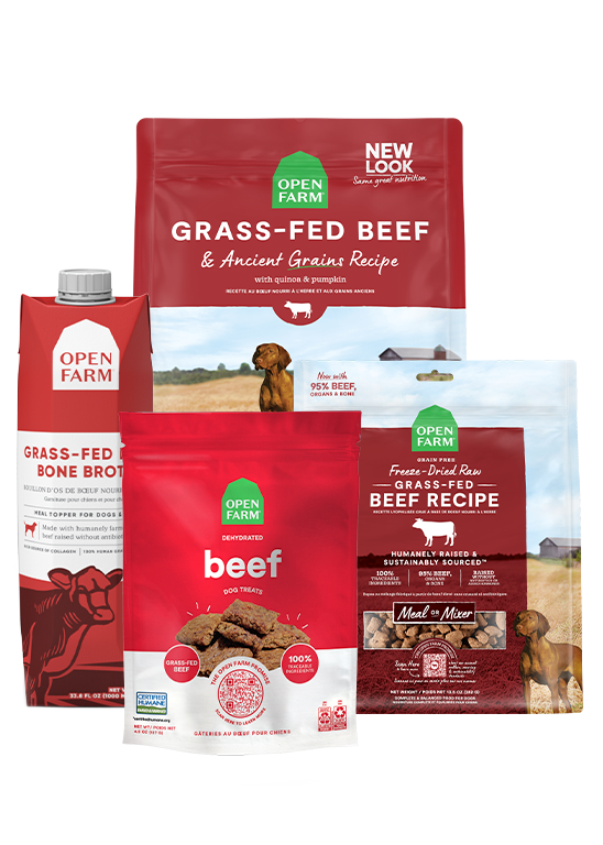 Grass-Fed Goodness Bundle