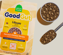 GoodGut Harvest Chicken Dog Kibble