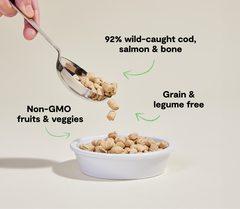 Wild-Caught Salmon & Cod Freeze Dried Raw Morsels for Cats