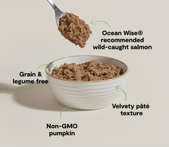 Wild-Caught Salmon Pâté for Cats