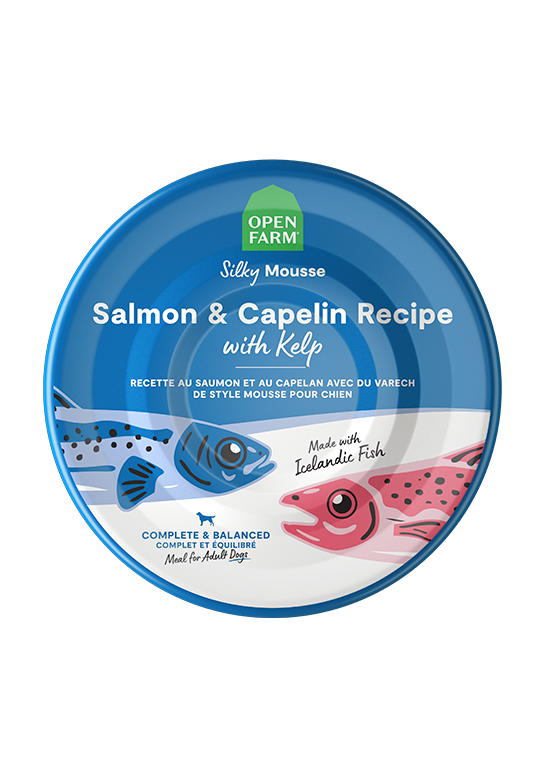 Icelandic Salmon & Capelin Wet Food for Dogs