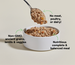 Kind Earth Plant Pâté with Ancient Grains for Dogs