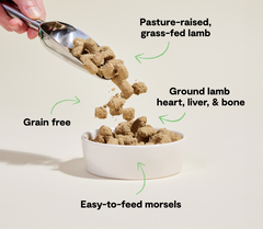 Pasture-Raised Lamb Freeze Dried Raw Morsels for Dogs