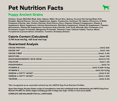 Chicken & Salmon Ancient Grains Puppy Kibble