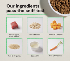 Grass-Fed Beef & Ancient Grains Dog Kibble