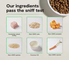 Homestead Turkey & Ancient Grains Dog Kibble