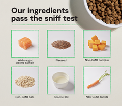 Salmon & Ancient Grains Puppy Kibble