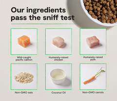 Chicken & Salmon Ancient Grains Puppy Kibble