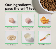 Small Breed Ancient Grains Dog Kibble
