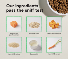 Wild-Caught Salmon & Ancient Grains Dog Kibble