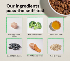 Epic Blend Chicken & Superfood Dry Dog Food
