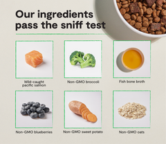 Epic Blend Salmon & Superfood Dry Dog Food