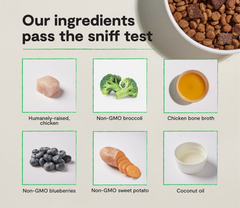 Epic Blend Chicken & Superfood Grain-Free Dog Kibble