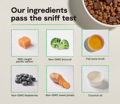 Epic Blend Salmon & Superfood Grain-Free Dog Kibble