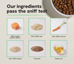 Salmon & Oatmeal Skin & Coat Health Dog Kibble