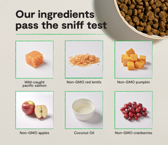Wild-Caught Salmon Grain-Free Cat Kibble