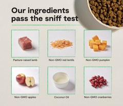Pasture-Raised Lamb Grain-Free Cat Kibble
