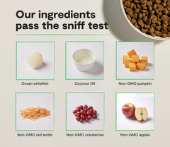 Whitefish Grain-Free Cat Kibble