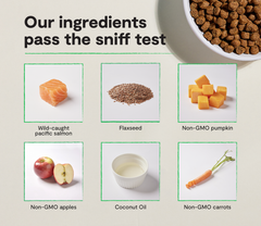 Wild-Caught Salmon Grain-Free Dog Kibble