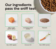 Chicken & Salmon Grain-Free Puppy Kibble