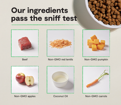 Grass-Fed Beef Grain-Free Dog Kibble
