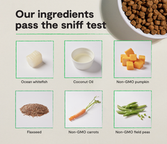 Whitefish Grain-Free Dog Kibble