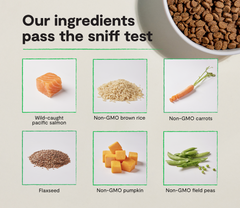 Goodbowl™ Wild-Caught Salmon & Brown Rice Cat Kibble