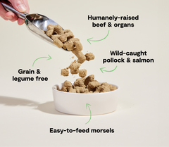 RawMix Tide & Terrain Freeze Dried Raw Morsels for Dogs