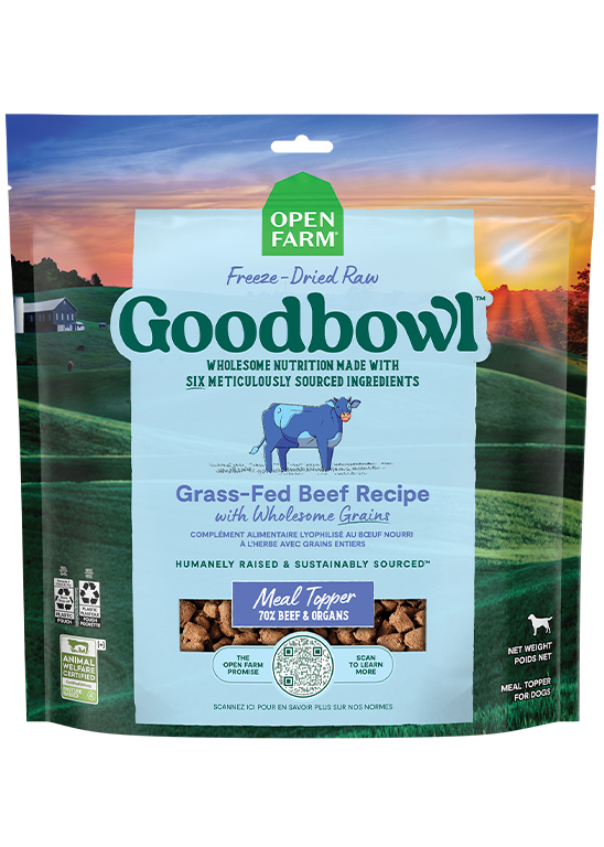 Goodbowl™ Grass-Fed Beef Freeze Dried Raw Morsels for Dogs