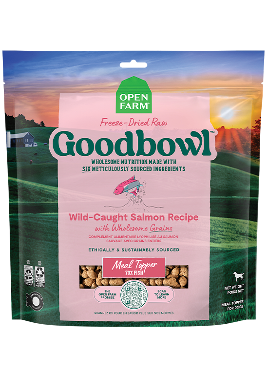 Goodbowl™ Wild-Caught Salmon Freeze Dried Raw Morsels for Dogs