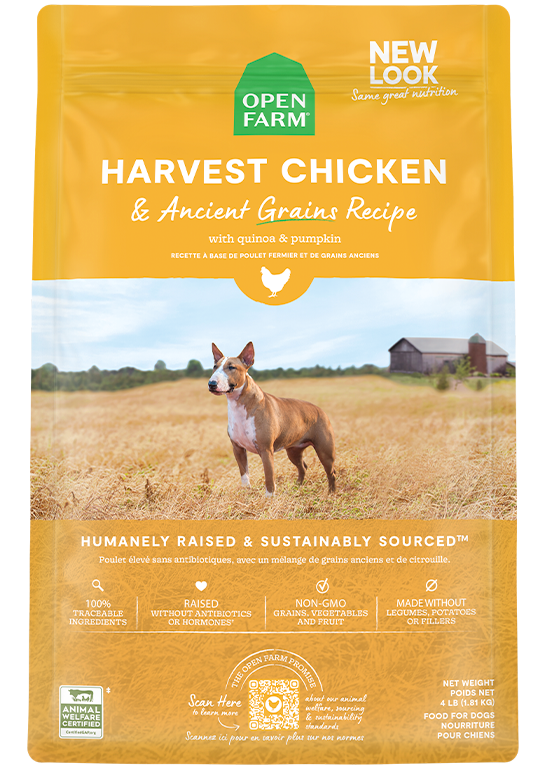 Harvest Chicken & Ancient Grains Dog Kibble
