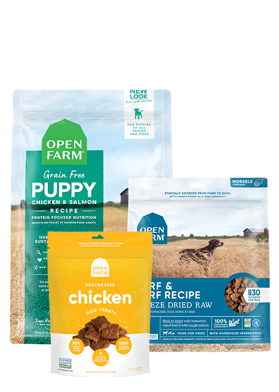 New Puppy Pack