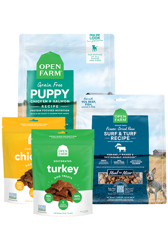 Puppy Essentials Pack