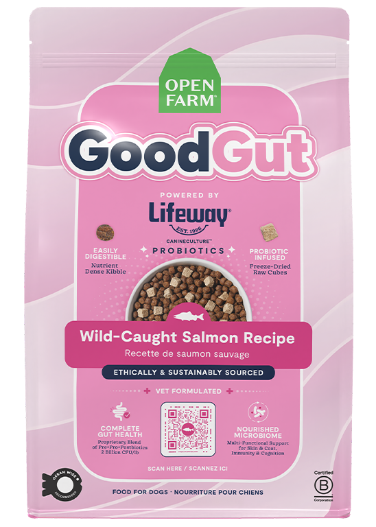 GoodGut Wild-Caught Salmon Dog Kibble