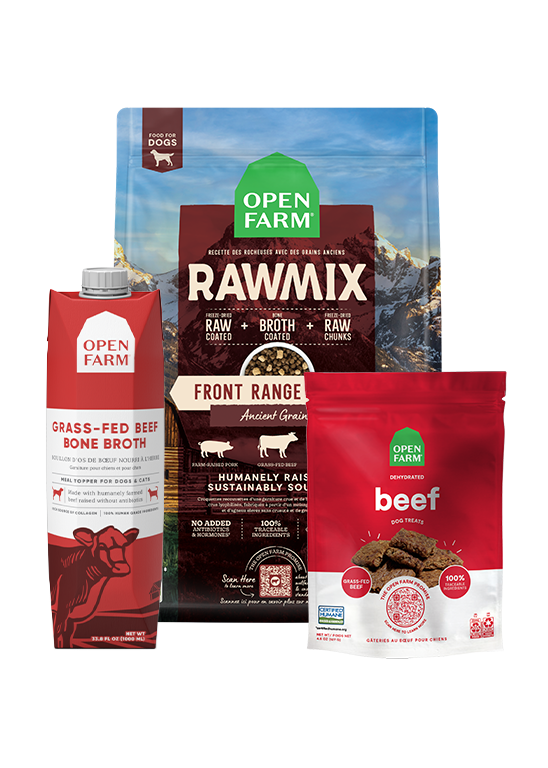 RawMix Plus Bundle for Dogs